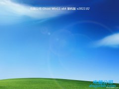 电脑公司win11最新64位中文全新版v2022.02