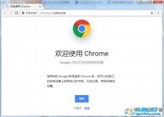 Google|Chrome|λ|ȸλǿv1.113ܰ